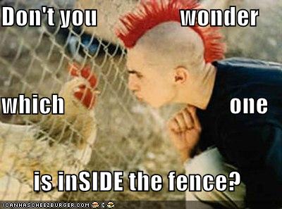 /dateien/uh56624,1261120014,funny-pictures-rooster-punk-fence