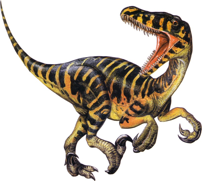 /dateien/uh57798,1287523342,velociraptor2