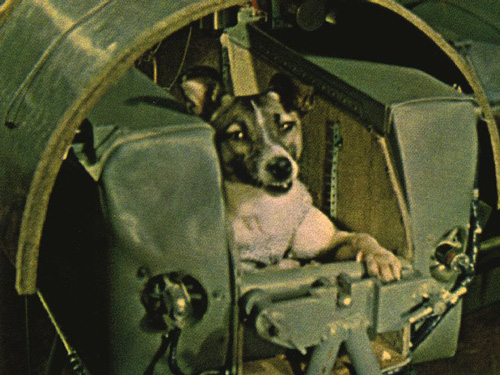 /dateien/uh58687,1260970844,laika-sputnik-2