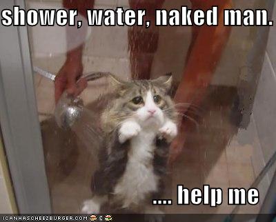 /dateien/uh59854,1266677753,funny-pictures-cat-shower-naked-man