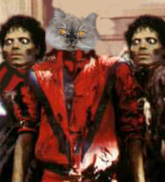 /dateien/uh60207,1270373278,Thriller2BCat