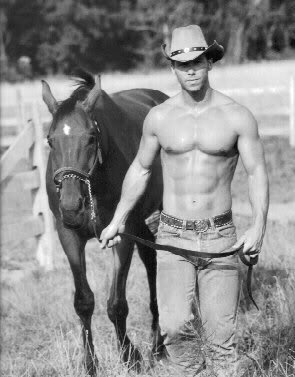 /dateien/uh60450,1274469218,cowboy1