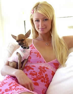 /dateien/uh60450,1286399707,Paris Hilton Tinkerbell