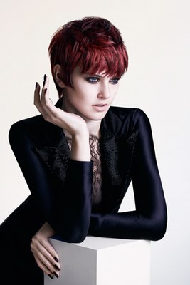 /dateien/uh60450,1288449532,sassoonprofessional6-175119 L