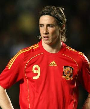 /dateien/uh60450,1288618980,Fernando Torres 300