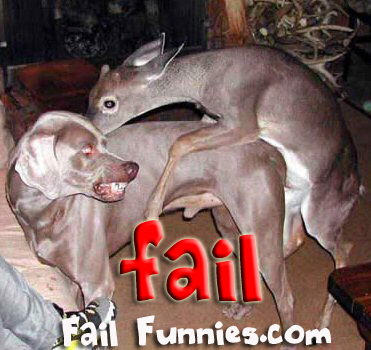 /dateien/uh60450,1292360671,deer-humps-dog-fail