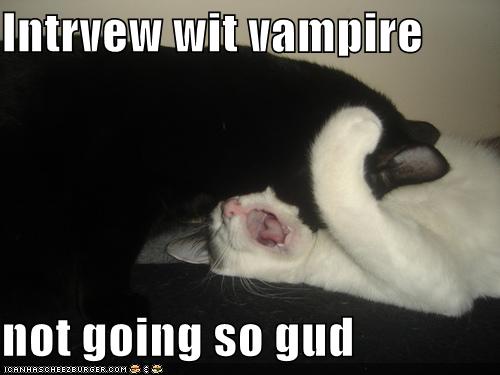 /dateien/uh60570,1266345015,funny-pictures-interview-with-vampire-cats