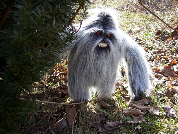 Das lustige Google Spiel uh60808,1267056727,27348 yeti