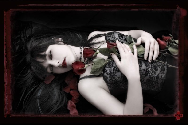 /dateien/uh60831,1283197218, Dark Roses  by Dosis