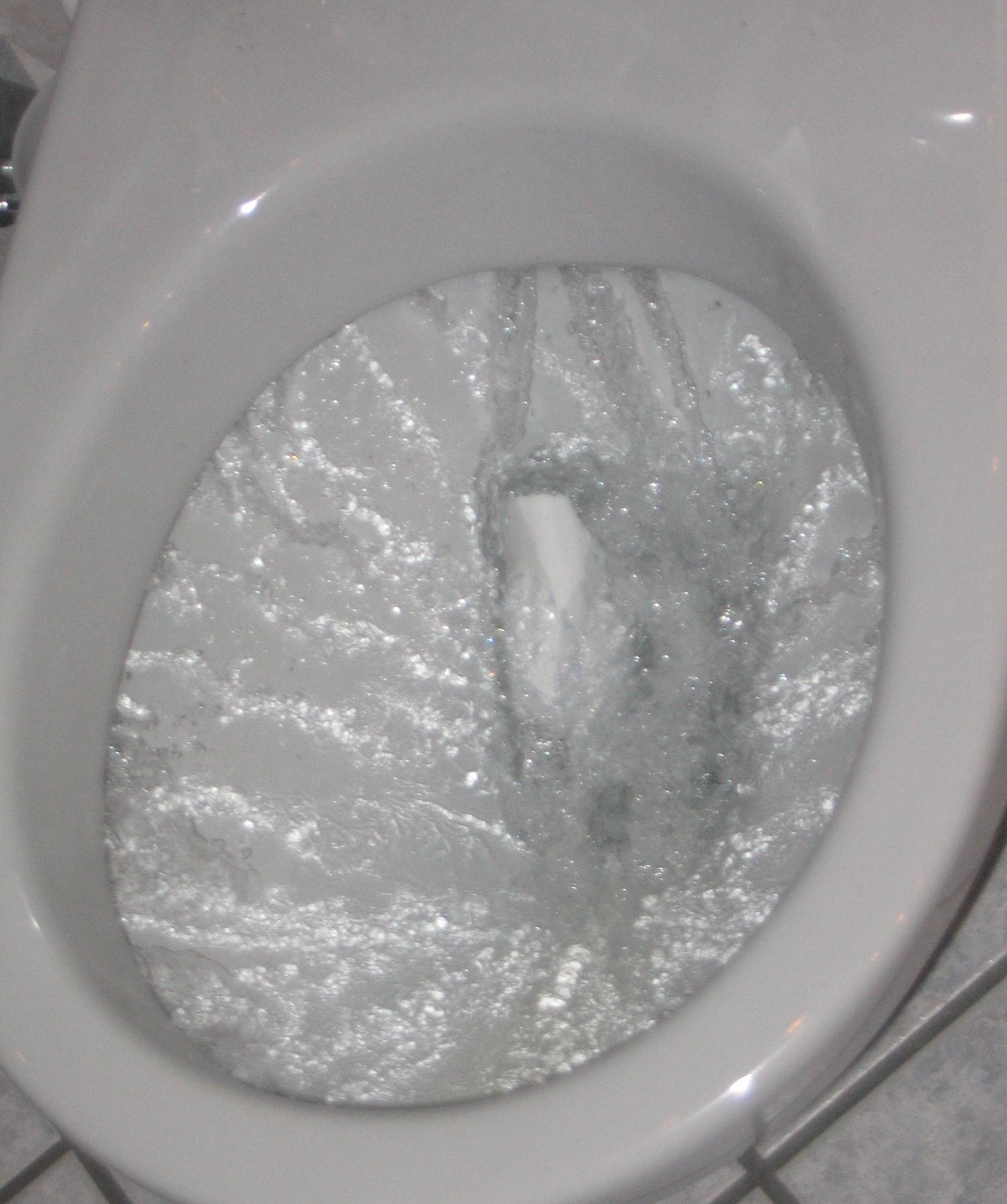 uh60967,1273282876,flushing_toilet.jpg