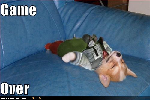 /dateien/uh62694,1277305593,funny-dog-pictures-the-game-is-over