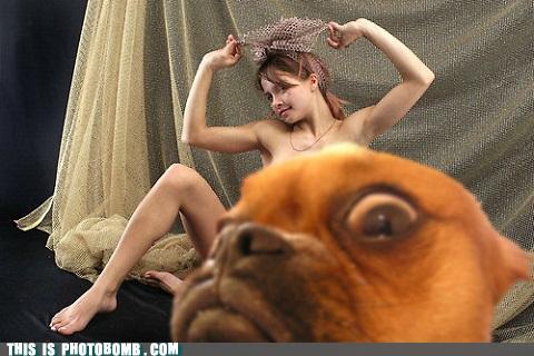 Poste ein Bild, welches zeigt, wie es dir gerade geht uh65302,1282763411,9e4ca4ce-8710-4ea9-86e1-b69aed59bef9