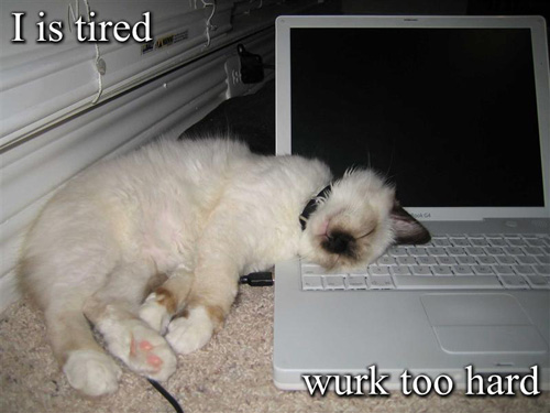 Poste ein Bild, welches zeigt, wie es dir gerade geht uh65302,1282845558,i-is-tired-wurk-too-hard