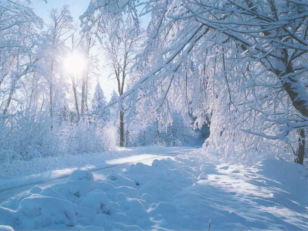 /dateien/uh65525,1284285453,winter-wallpapers-beautiful-witner-landscape-view