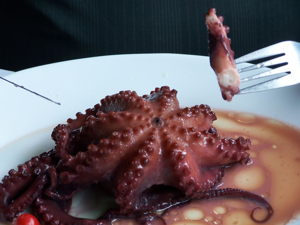 /dateien/uh67683,1290076527,pulpo gross