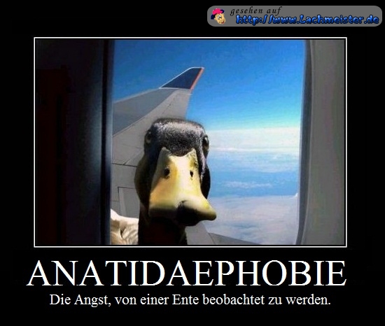 /dateien/uh67827,1289951949,lustiges-bild-anatidaephobie