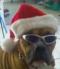 /dateien/uh68672,1292693852,Santa Sarge Avatar