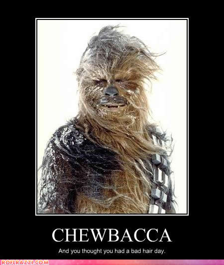 /dateien/vo51452,1260996734,8c96a celebrity-pictures-chewbacca-hair-day