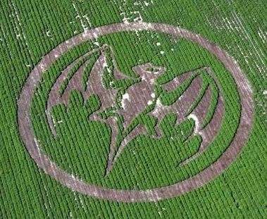 /dateien/vo54507,1244965838,crop circle