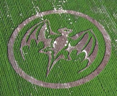 /dateien/vo54507,1244965838,crop circle