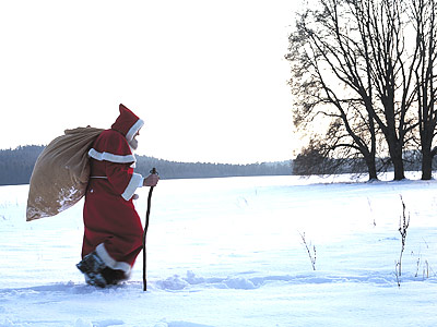 /dateien/vo58935,1261398244,weihnachten2007 leiste g