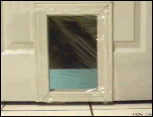 /dateien/vo59250,1262477792,Cat invisible pet door