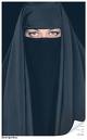 /dateien/vo60846,1272680638,nyt burka large