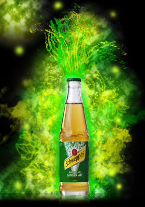 /dateien/vo63754,1277997986,Schweppes Ginger Ale by montalv0