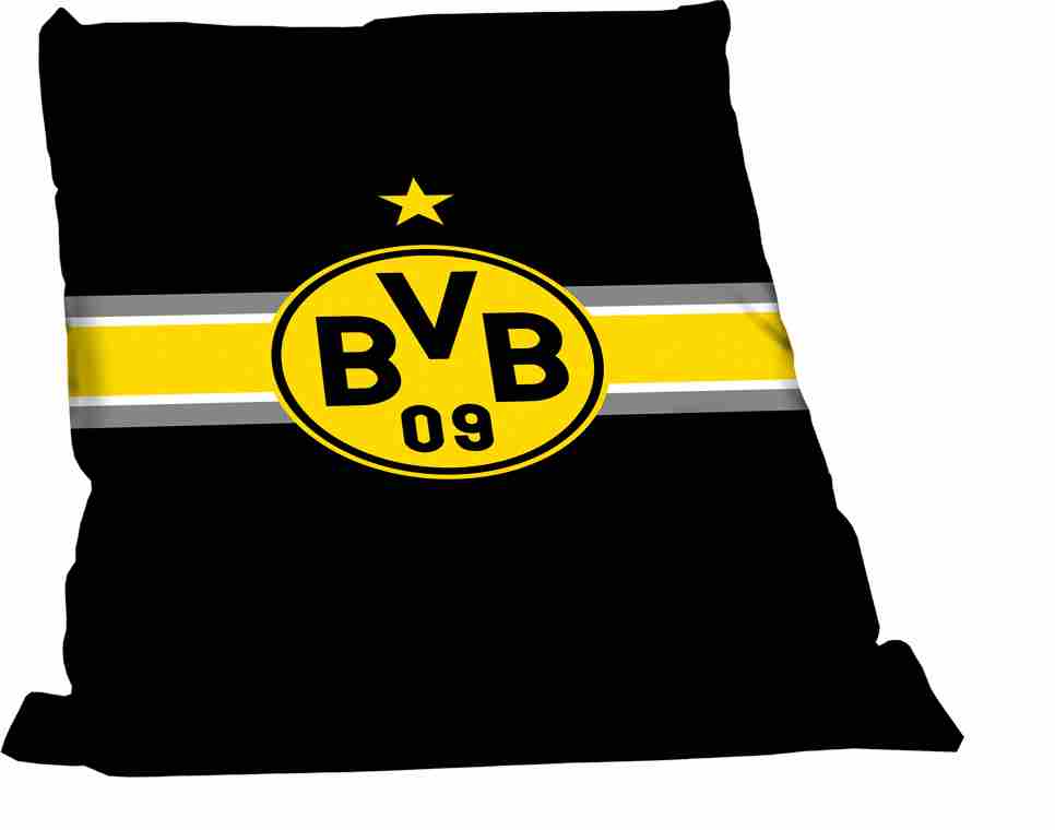 /dateien/vo64763,1289812383,bvb 001a