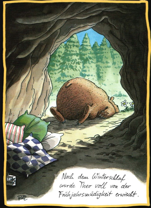 Яой спячка. Смешной медведь в берлоге. Берлога медведя. Мишка в берлоге смешное. Карикатура медведь в берлоге.