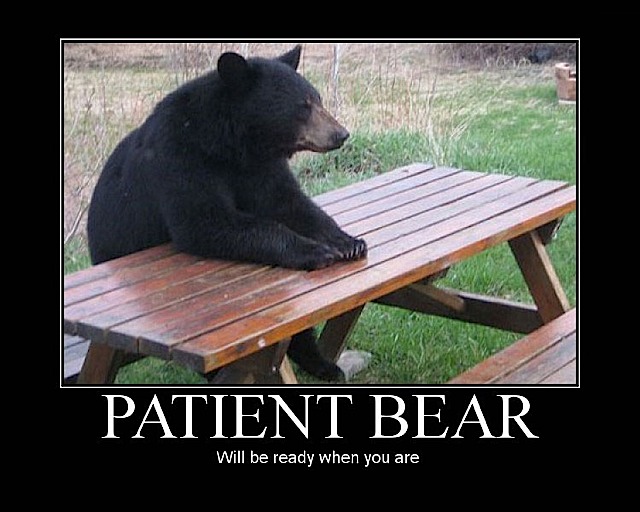 /dateien/vo70127,1296235098,patient bear1