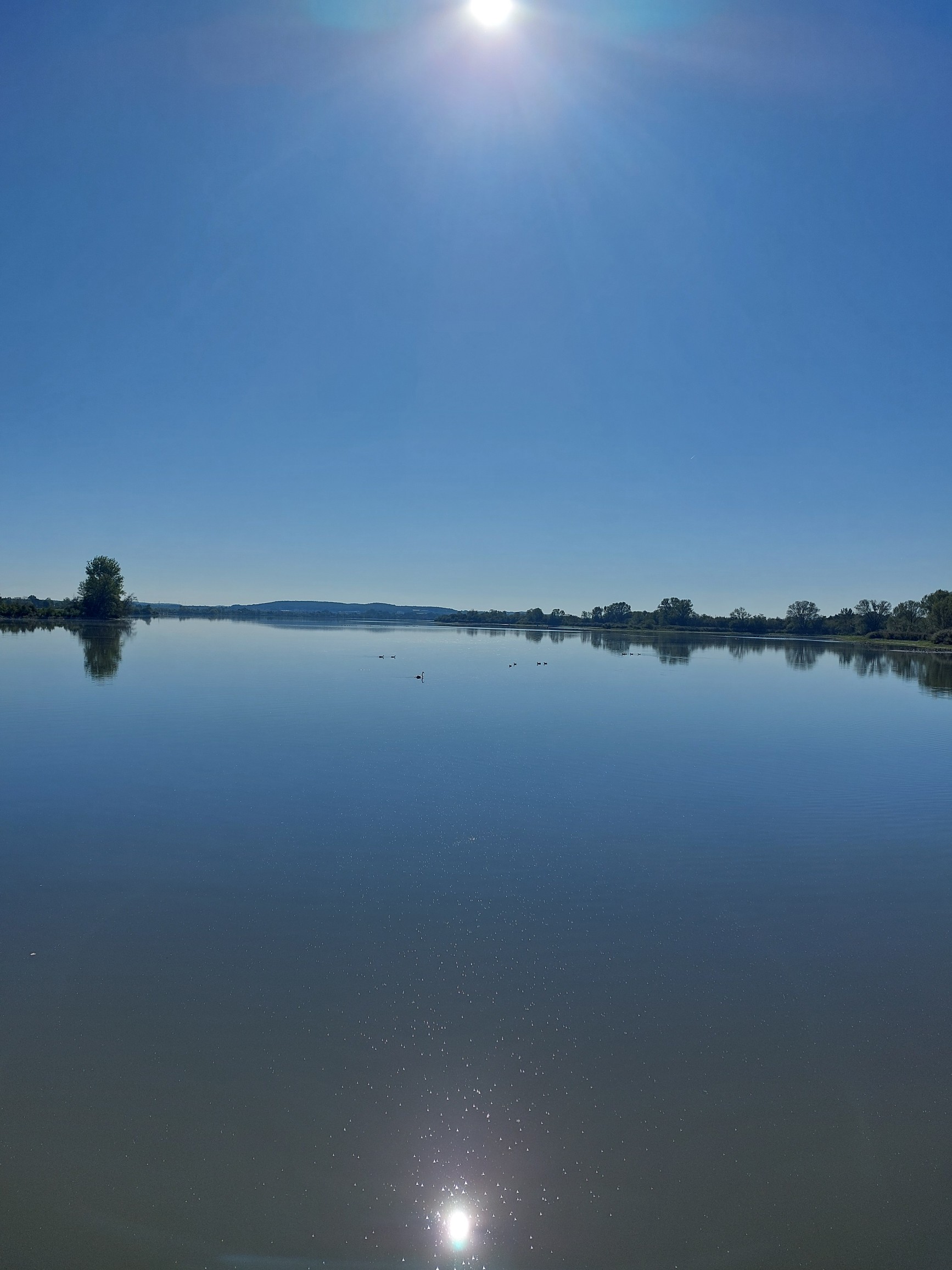 Vogelinsel 6