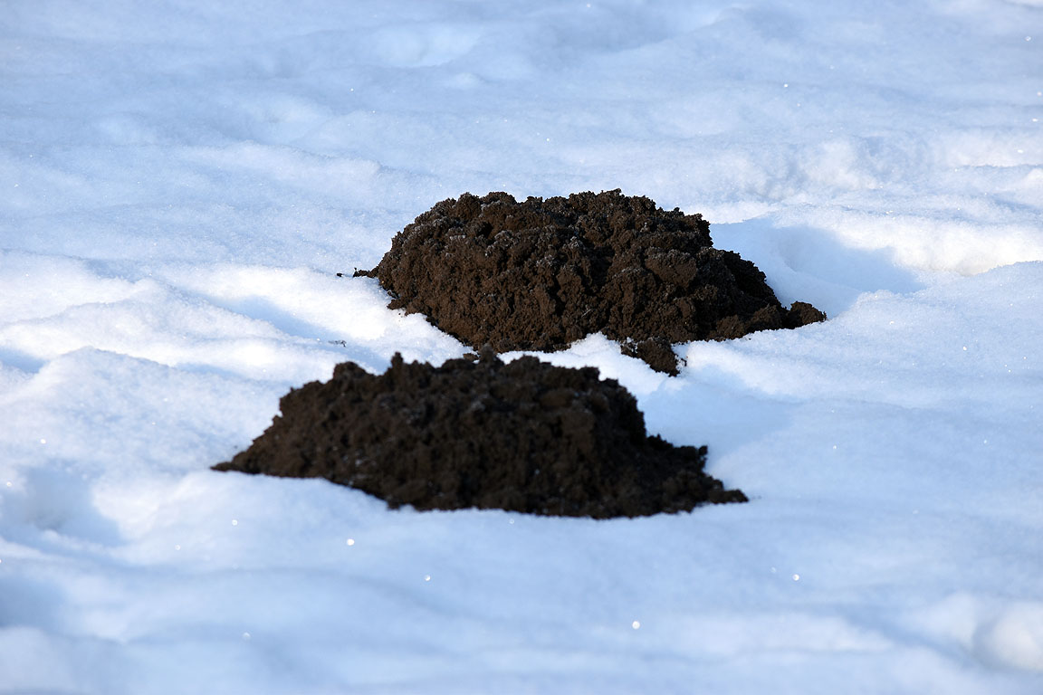 1c17eb76-ddc8-4ace-9add-f76ac66a5509