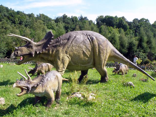 triceratopsJP