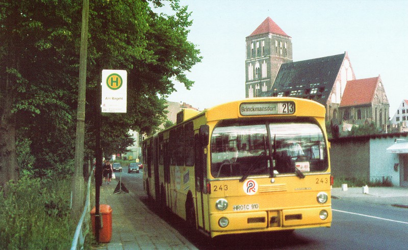 Bus 1993