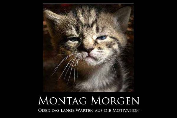 Montagmorgen