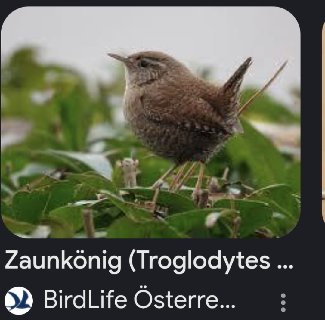 Screenshot 20260126 085816 Gallery