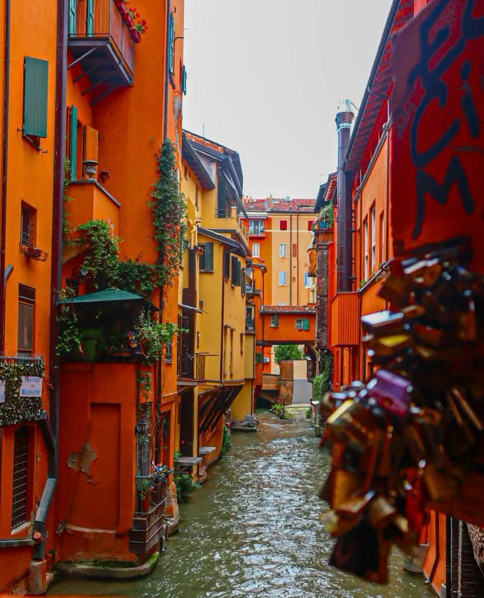 Bologna it - Copy