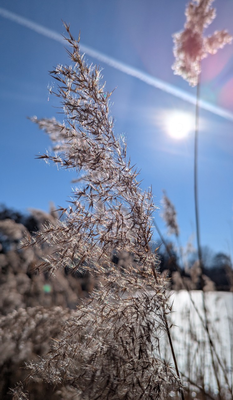 1bf730f3-cd85-49c4-835f-c5ce0ee53963 cop