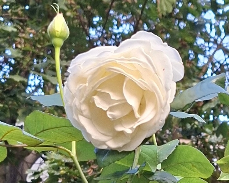 xx01