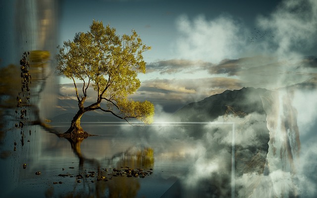 beautiful-2301651 640