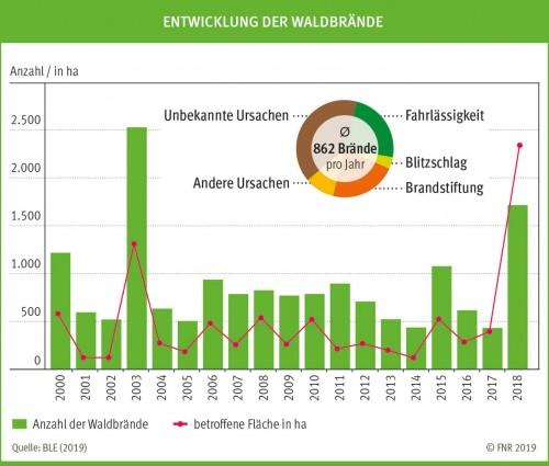 Waldbraende