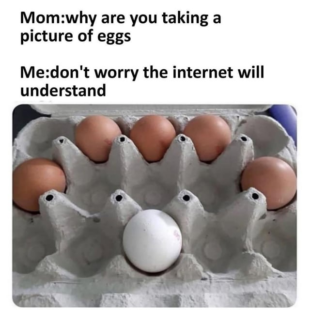 dont-worry-the-internet-will-understand-
