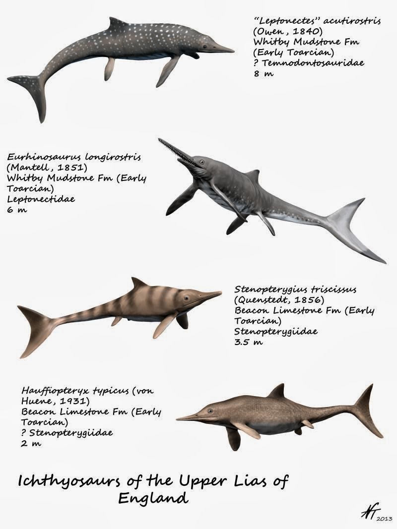 UpperLiasIchthyosaurEngland NT