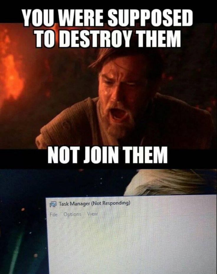 1000037593