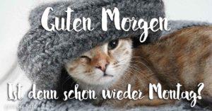 schon-wieder-montag-300x157