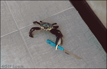 td74ca7 Knife-wielding-crab