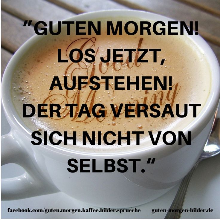 Lustige Bilder Guten Morgen Lustig Lustige Geburtstagsbilder