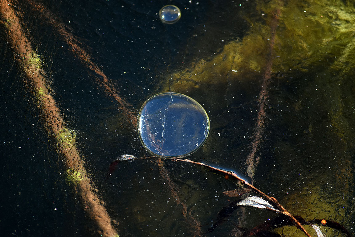 e3bf3e7a-d34b-45b0-b9bf-a9dadeb6b0ad