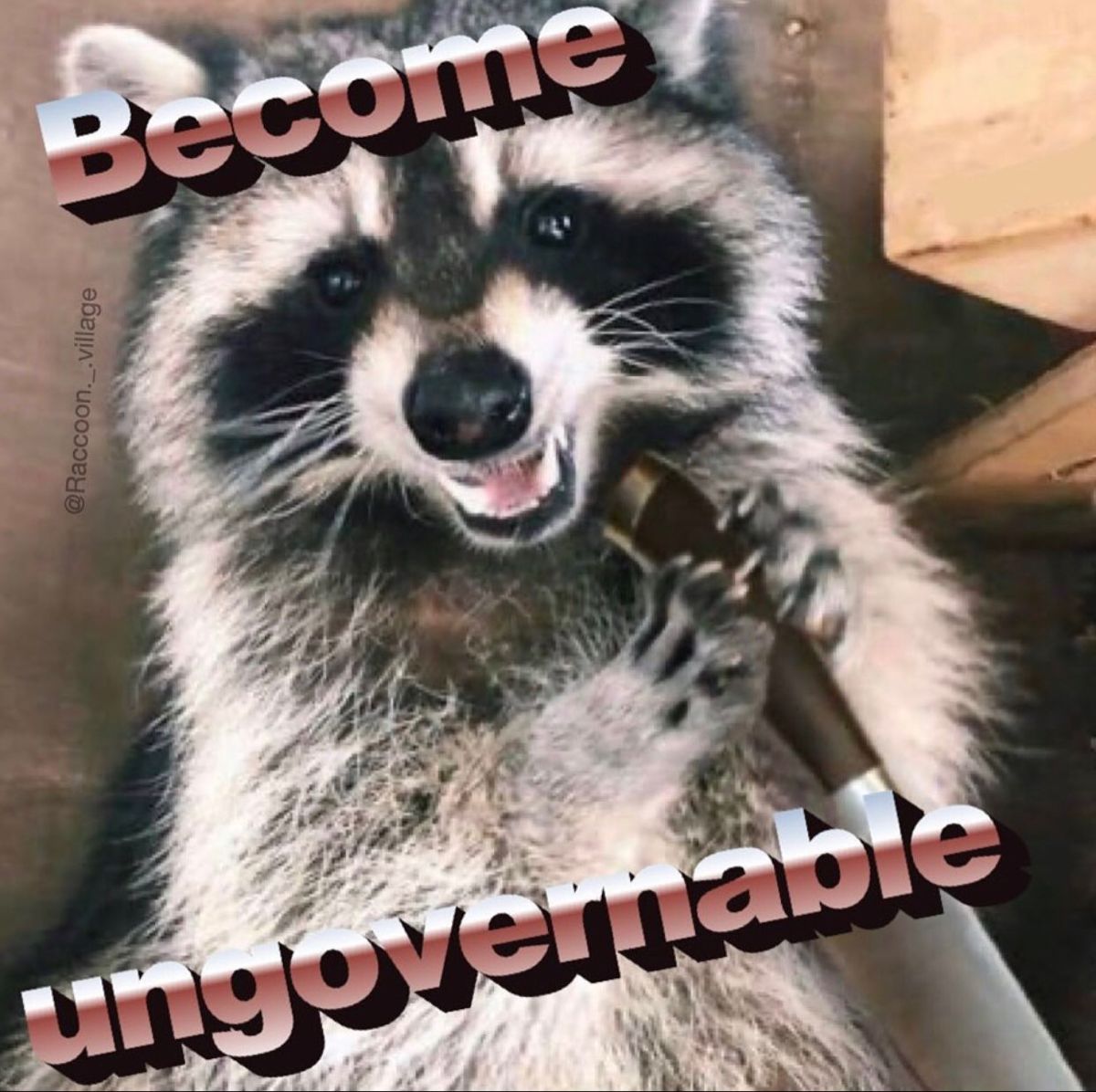 racc meme 1 - Copy